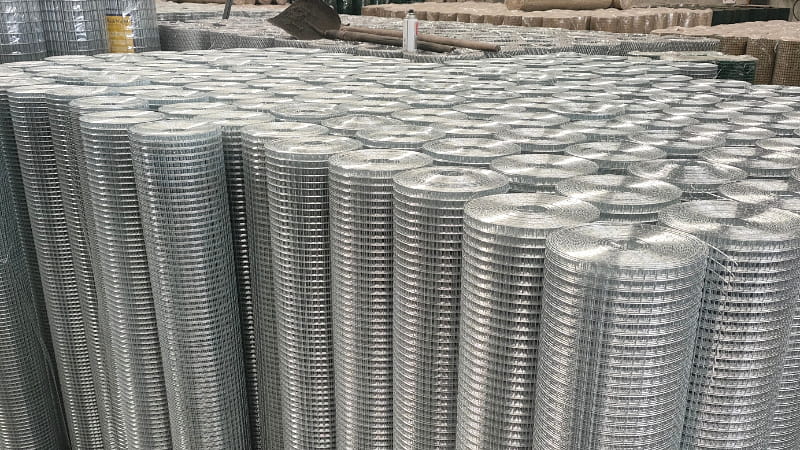 6×6mm Hot Dipped Galvanized Welded Wire Mesh Roll – fine mesh for small animal enclosures